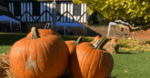 Pumpkins on a hay bale next to a historic building