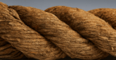 A rope salvaged from a shipwreck.